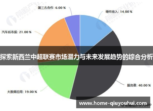 探索新西兰中超联赛市场潜力与未来发展趋势的综合分析