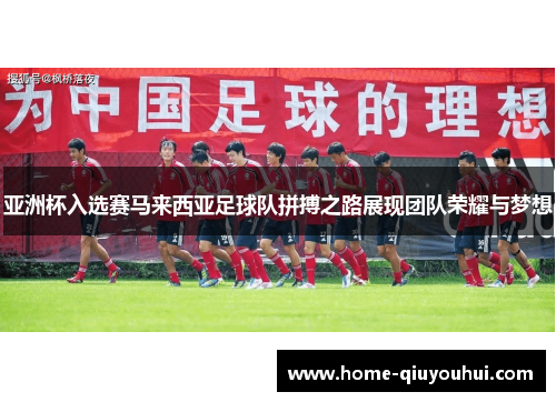 亚洲杯入选赛马来西亚足球队拼搏之路展现团队荣耀与梦想
