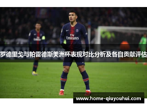 罗德里戈与帕雷德斯美洲杯表现对比分析及各自贡献评估