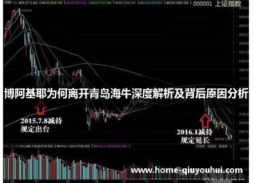博阿基耶为何离开青岛海牛深度解析及背后原因分析