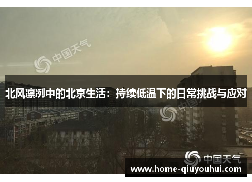 北风凛冽中的北京生活：持续低温下的日常挑战与应对
