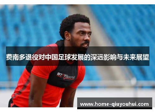 费南多退役对中国足球发展的深远影响与未来展望